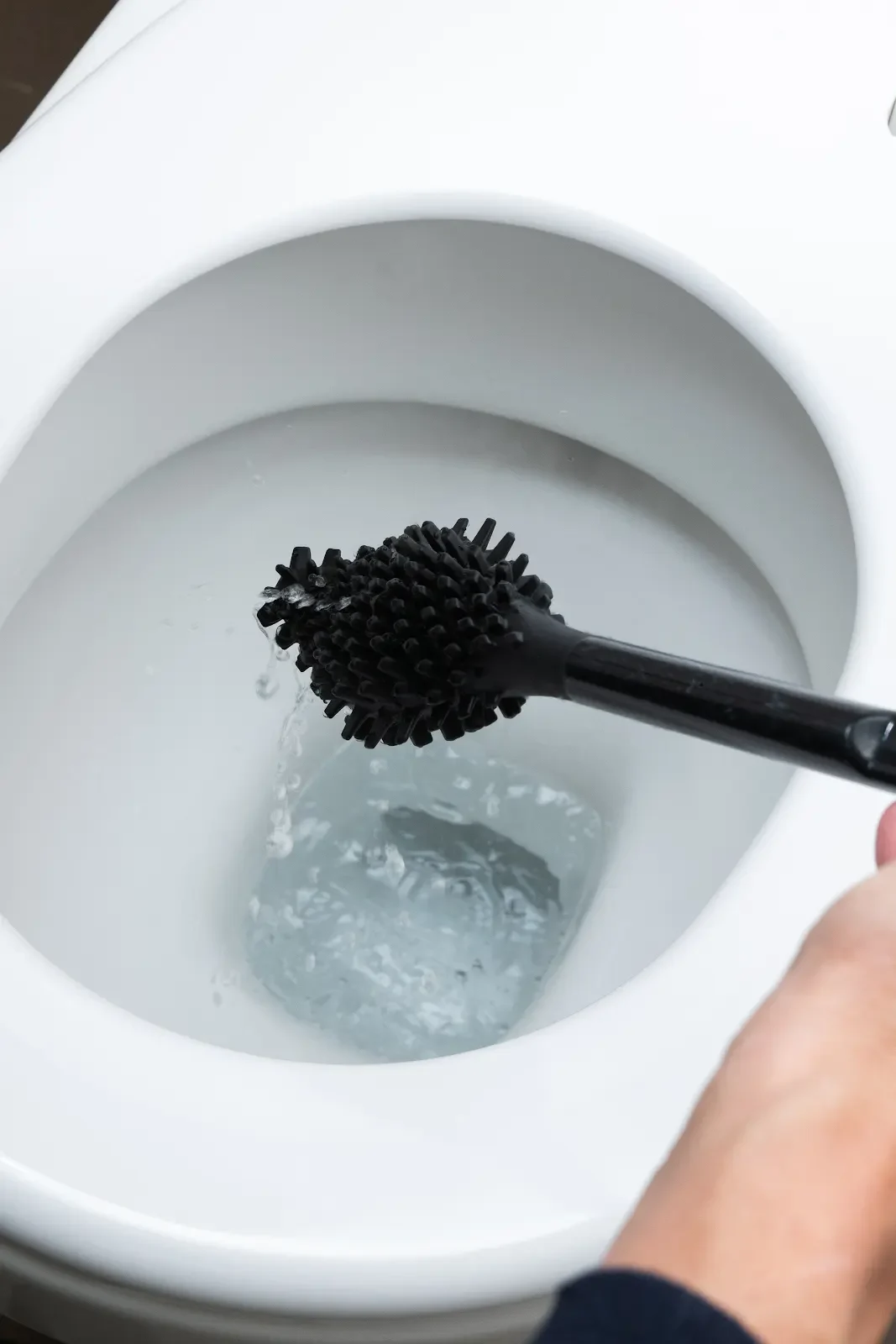 bbb La Brosse noire tenue au-dessus d’une cuvette blanche pendant son égouttage