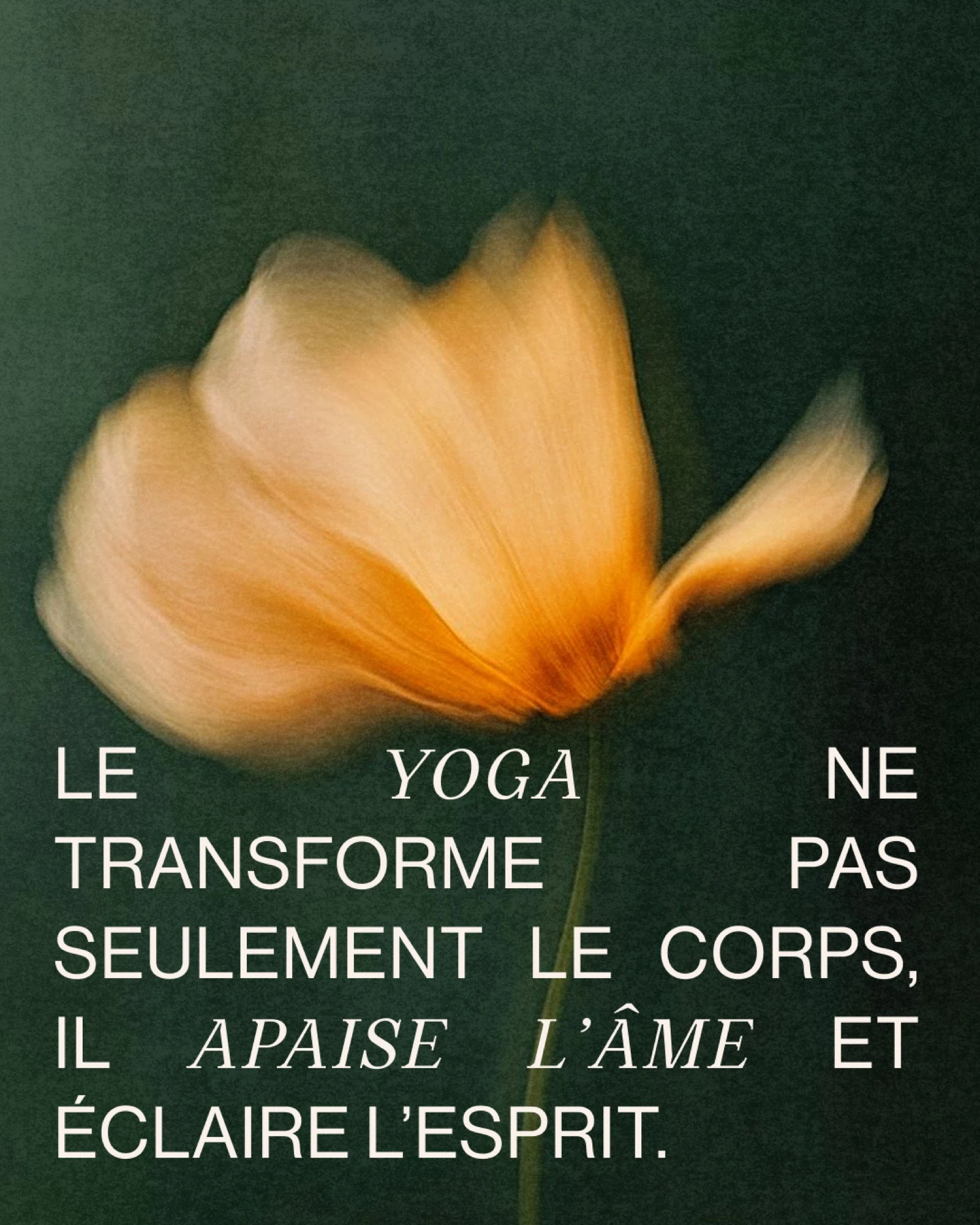 Visuel Green Yoga montrant une fleur jaune en mouvement sur fond vert profond avec une citation sur le yoga