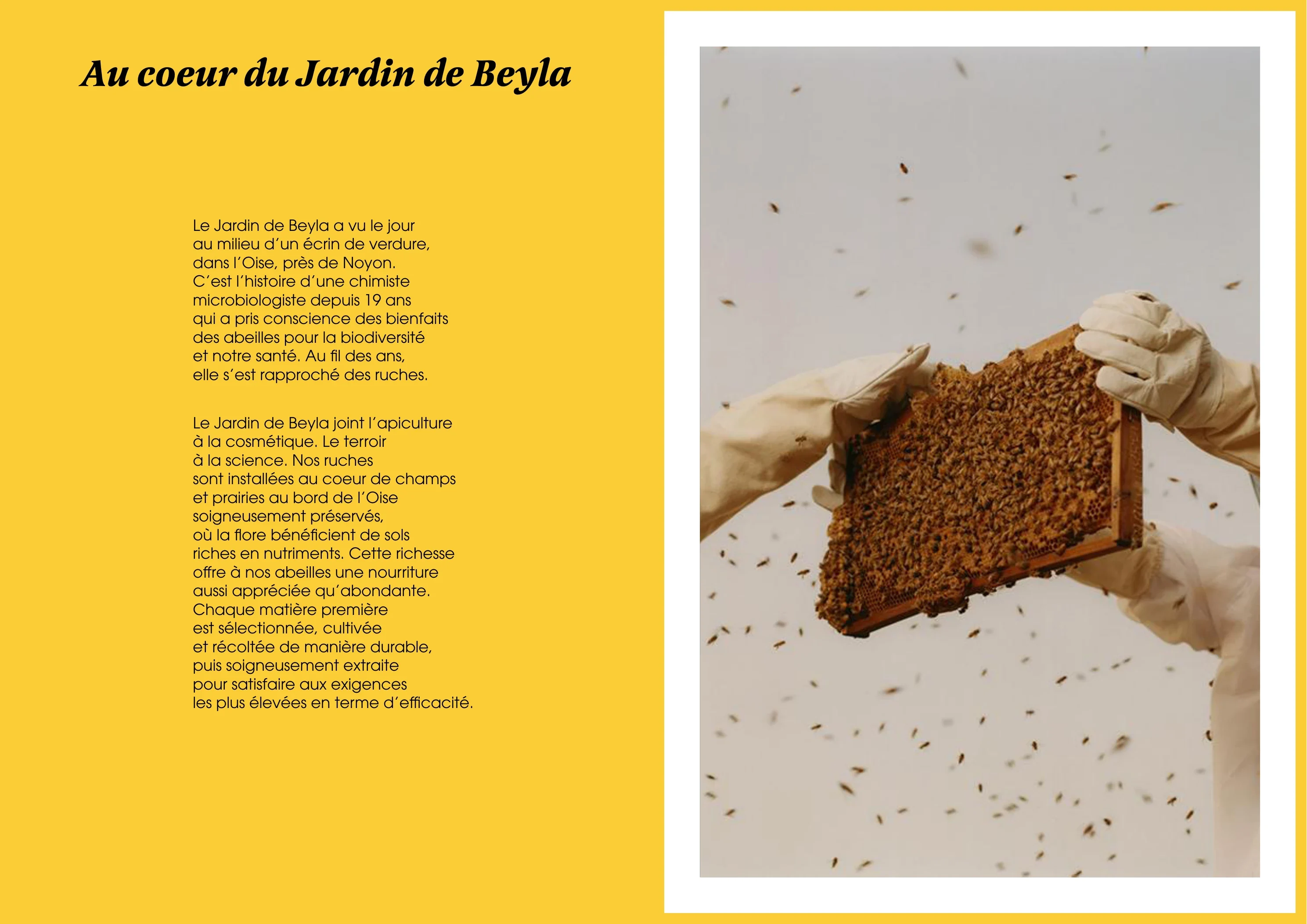 Double page du catalogue Le Jardin de Beyla racontant le projet dans l’Oise face à une photographie de ruche