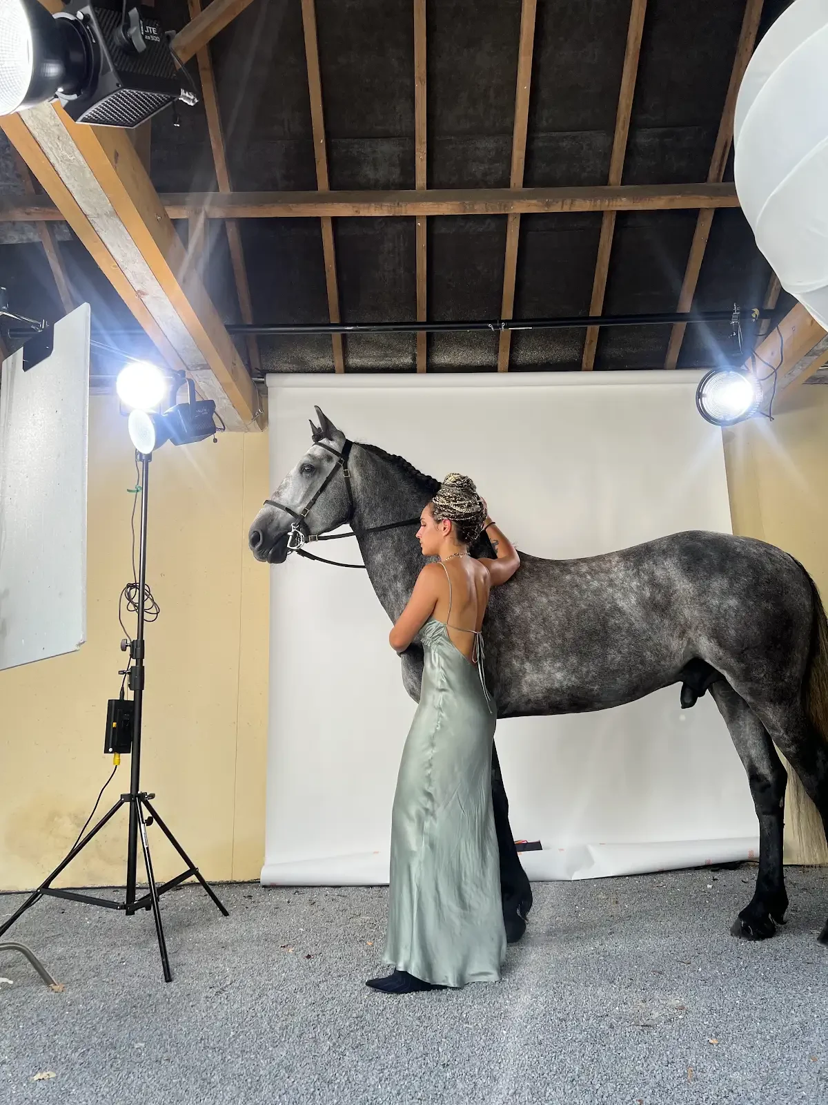 Vue de production d’une femme en robe satinée posant près d’un cheval devant un fond de studio
